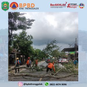 Pemotongan pohon di RT. 09 RW. 03 Ds. Kedunglurah Kec. Pogalan. Kamis, 06 April 2023