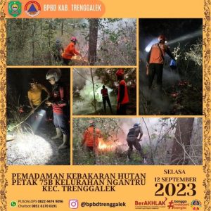 Selasa, 12 September 2023. Pemadaman Kebakaran Hutan Petak 75B, Kelurahan Ngantru, Kec. Trenggalek