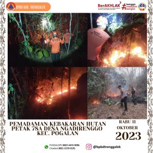 11 Oktober 2023. Kebakaran Hutan dan Lahan di petak 78 A wilayah administrasi RT. 23 RW. 10 Dsn. Ceme Ds. Ngadirenggo Kec. Pogalan11 Oktober 2023