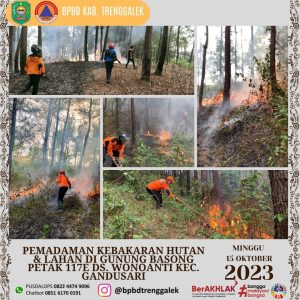 Minggu. 15 Oktober 2023. Kebakaran Lahan di Ds. Wonoanti Kec. Gandusari Kab. Trenggalek