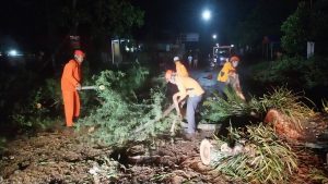 Sabtu, 20 Januari 2024. Penanganan Pohon Tumbang Ds. Karangsoko Kec. Trenggalek