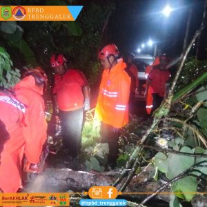 Rabu, 7 Februari 2024. BPBD Melakukan Penanganan dan Ekseskusi Pohon Tumbang di Ds. Ngulankulon Kec. Pogalan