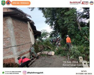 Senin, 19 Februari 2024 sekitar pukul 16.30 WIB Terjadi pohon dengan panjang 9 m dan diameter 40 cm tumbang menimpa rumah Bapak Kanapi (60th)