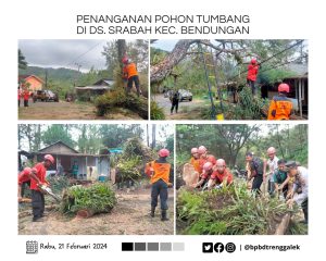 Selasa, 23 April 2024. Penanganan pohon tumbang di Ds. Srabah Kec. Bendungan