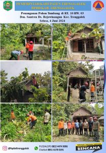 Selasa, 04 Juni 2024. Penanganan Pohon Tumbang di RT.10, RW.03, Dsn. Santren, Ds. Rejowinangun, Kec. Trenggalek