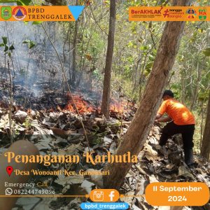 Rabu, 11 September 2024. BPBD Trenggalek melaksanakan penanganan Kebakaran Hutan dan lahan petak 117 E -1 RPH Gandusari BKPH Karangan RT 13 RW 05 Ds. Wonoanti Kec. Gandusari.