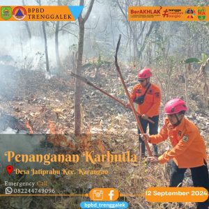Kamis, 12 September 2024 BPBD Trenggalek melaksanakan penanganan Kebakaran Hutan bertempat di RT 17 RW 03 Ds. Sumberingin Kec. Karangan
