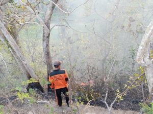 Senin, 16 September 2024 Pukul 13.00 WIB telah terjadi kebakaran hutan dan lahan di RT. 18 RW. 08 Ds. Pucanganak Kec. Tugu.