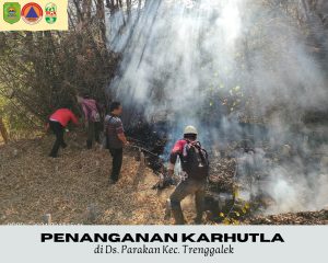 Selasa, 17 September 2024 pukul 12.30 WIB terjadi Kebakaran Hutan dan Lahan di lahan pemajekan Ds. Parakan Kec. Trenggalek.