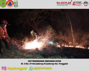 Senin, 16 September 2024 Telah terjadi kebakaran hutan dan lahan di RT 13 RW 04 Dsn. Sambirejo Ds. Sambirejo Kec. Trenggalek
