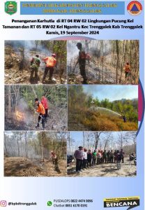Kamis, 19 September 2024. BPBD Kab. Trenggalek dengan Instansi Terkait Memadam kan Kebakaran Hutan dan Lahan di RT. 04 RW. 02 Kel Tamanan dan RT. 05 RW. 02 Kel Ngantru Kec/Kab Trenggalek