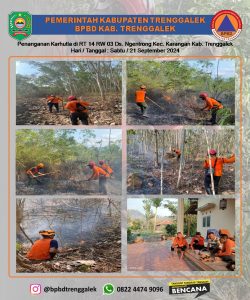 Sabtu. 21 September 2024. BPBD Kabupaten Trenggalek Melakukan Pemadan Kebakaran Hutan dan Lahan di Gunung Combri RT. 14 RW. 03 Ds. Ngentrong Kec. Karangan