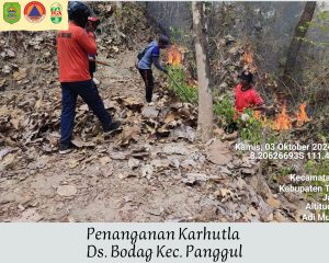 Kamis, 3 Oktober 2024. BPBD Kabupaten Trenggalek Melakukan Pemadaman Kebakaran Hutan dan Lahan di Gunung tumpak Sambi RT.11, 12 RW. 03. Dsn. Pasur Ds. Bodag Kec. Panggul