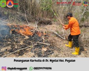 Senin, 14 Oktober 2024. BPBD Kabupaten Trenggalek melakukan Pemadaman Kebakaran Hutan dan Lahan di RT. 24 RW. 08 Ds. Ngetal Kec. Pogalan