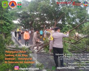 Senin, 04 November 2024. BPBD Kabupaten Trenggalek Melakukan Penanganan Bencana Angin Kencang