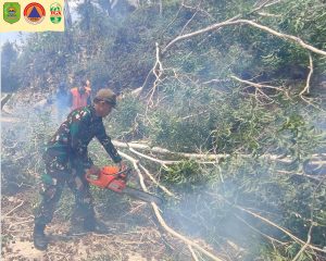 Sabtu, 2 November 2024 – BPBD kab. Trenggalek bersama Polsek Panggul, Koramil Panggul, Perhutani, Satpol PP, LMDH serta Pramuka peduli melaksanakan kegiatan bersama pemotongan