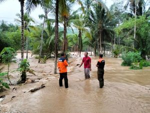 Selasa, 19 November 2024, wilayah Kecamatan Trenggalek diguyur hujan dengan intensitas sedang hingga tinggi pada pukul 16.00 – 17.00 WIB.