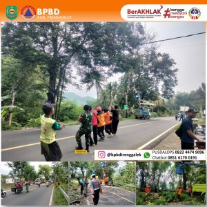 Senin, 25 November 2024, Badan Penanggulangan Bencana Daerah (BPBD) Kabupaten Trenggalek Melakukan pencegahan terjadinya pohon tumbang ke jalan raya yang dapat menimbulkan kemacetan lalulintas dan bahkan menimpa pengguna jalan