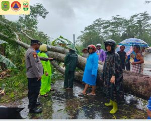 Kamis, 28 November 2024 pukul 10.00 hingga 13.00 WIB telah terjadi Pohon Tumbang di wilayah Kec. Munjungan