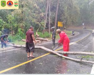 Rabu – Kamis, 27 – 28 November 2024 pukul 12.30 – sekarang di wilayah Kec. Panggul terjadi hujan dengan intensitas sedang hingga tinggi menyebabkan bencana