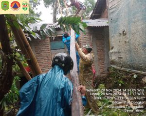 Kamis, 28 November 2024 pukul 13.00 WIB. terjadi pohon tumbang yang menimpa dapur Bapak Mubangit Kec. Dongko