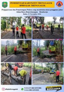 Bersama PKPLH Trenggalek dan Polsek Pogalan, hari Rabu 23 November 2024 personil BPBD melaksanakan pemangkasan pohon di Jalan Raya Rejowinangun – Bendorejo