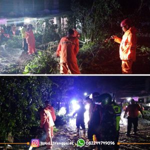 Kamis, 5 Desember 2024. BPBD KAB. TRENGGALEK MELAKUKAN PENANGANAN POHON TUMBANG DI JALAN NASIONAL TRENGGALEK – PONOROGO KEL. TAMANAN KEC. TRENGGALEK
