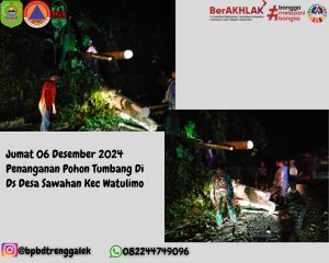 Jumat, 5 Desember 2024. BPBD Kabupaten Trenggalek Melakukan Penanganan Pohon Tumbang di Dsn Krajan RT 01/RW 01 Ds Desa Sawahan Kec Watulimo
