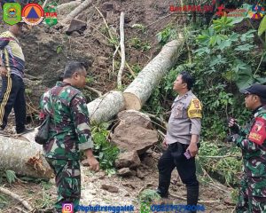 Jumat, 06 Desember 2024. LAPORAN BENCANA TANAH LONGSOR DI DESA WONOKERTO KEC. SURUH